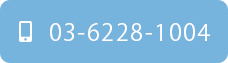 03-6228-1004